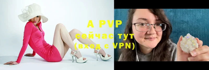 закладки  Дорогобуж  Alfa_PVP СК 