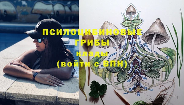 MDMA Гусь-Хрустальный