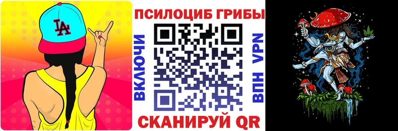 Псилоцибиновые грибы Cubensis где найти наркотики Дорогобуж